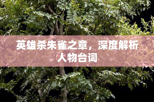 深度解析人物台词图片