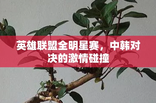 中韩对决的激情碰撞图片