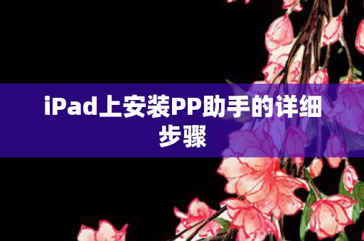 iPad上安装PP助手的详细步骤图片