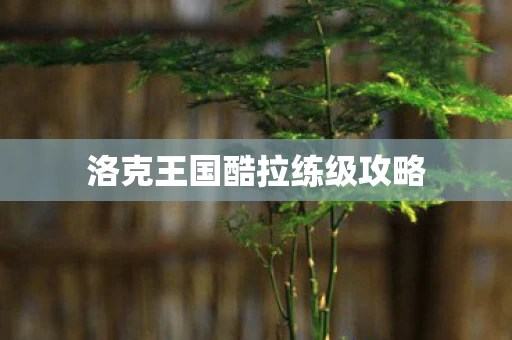 洛克王国酷拉练级攻略图片