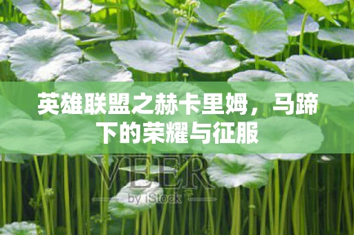 英雄联盟之赫卡里姆图片