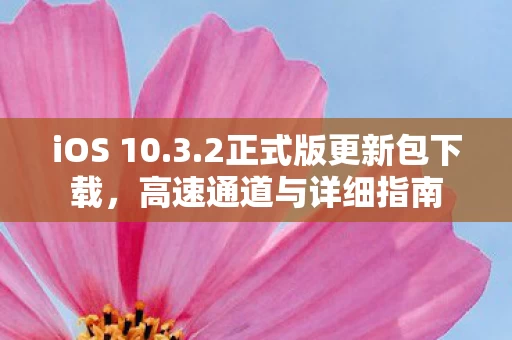 2正式版更新包下载图片