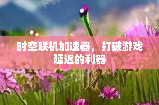 打破游戏延迟的利器图片