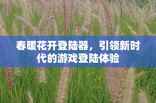 引领新时代的游戏登陆体验图片