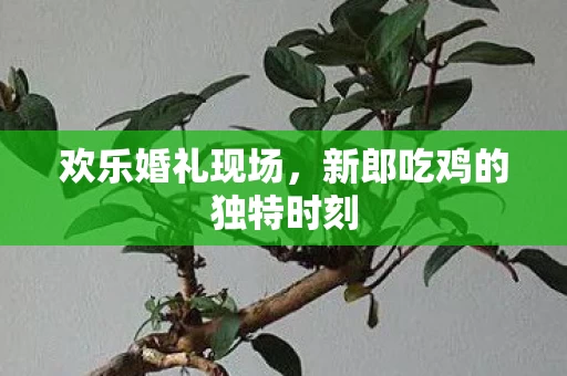 新郎吃鸡的独特时刻图片