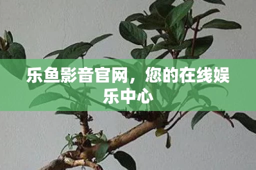 您的在线娱乐中心图片