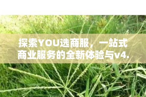 一站式商业服务的全新体验与v4图片