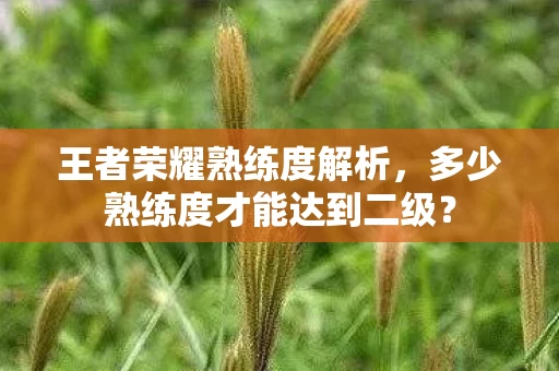 多少熟练度才能达到二级图片