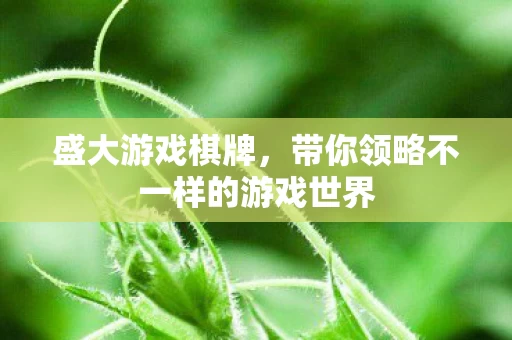 带你领略不一样的游戏世界图片
