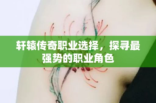 探寻最强势的职业角色图片