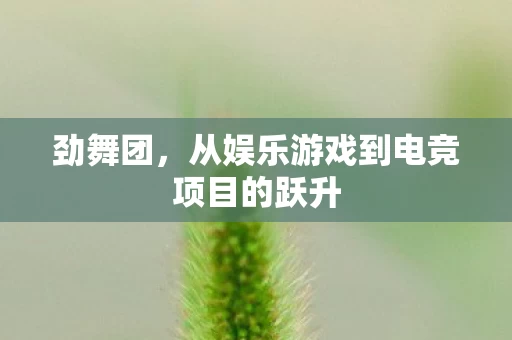 从娱乐游戏到电竞项目的跃升图片