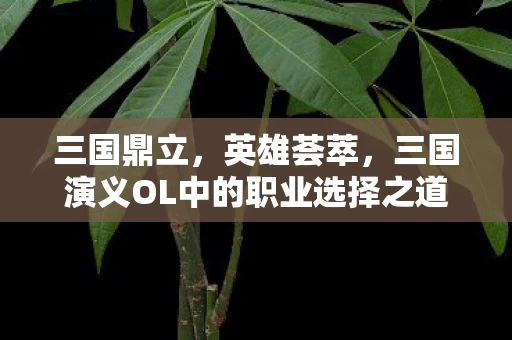 三国演义OL中的职业选择之道图片