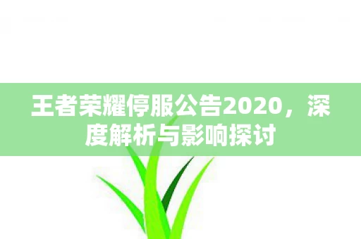王者荣耀停服公告2020图片