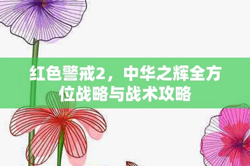 中华之辉全方位战略与战术攻略图片