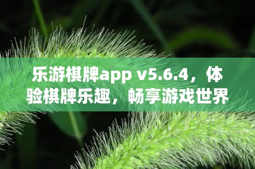 乐游棋牌app v5图片