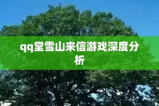 qq堂雪山来信游戏深度分析图片
