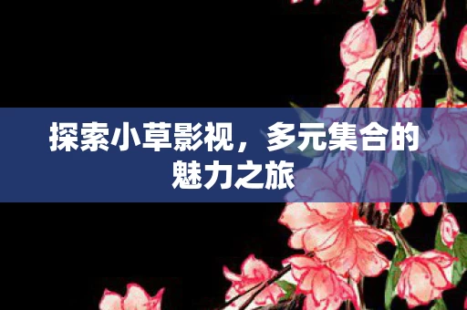 多元集合的魅力之旅图片