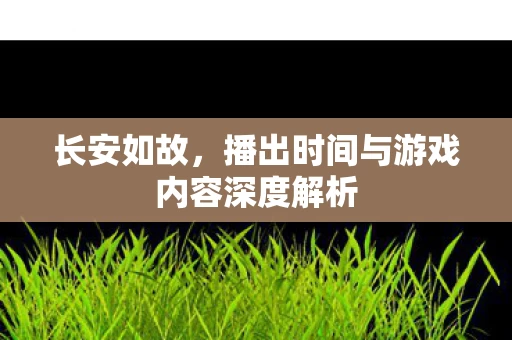 播出时间与游戏内容深度解析图片