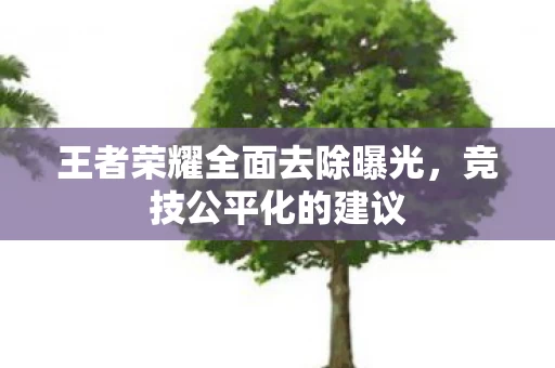 王者荣耀全面去除曝光图片