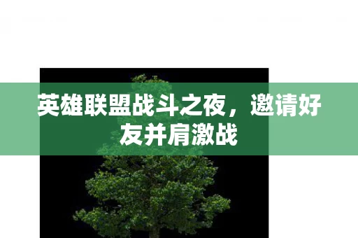 英雄联盟战斗之夜图片