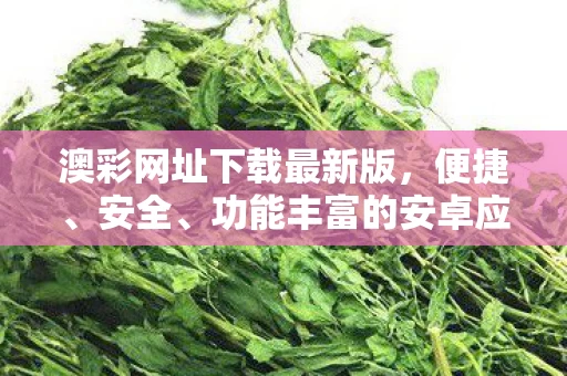 功能丰富的安卓应用体验图片