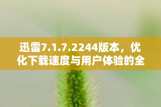 优化下载速度与用户体验的全新升级图片