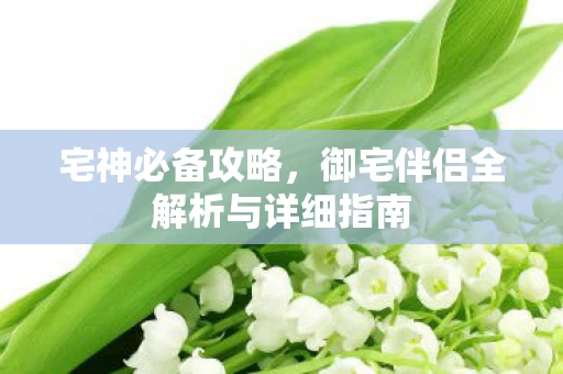御宅伴侣全解析与详细指南图片