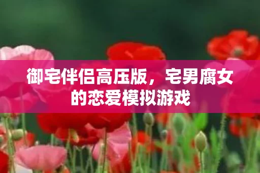 宅男腐女的恋爱模拟游戏图片
