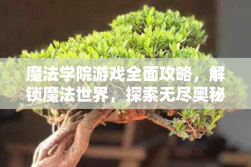 魔法学院游戏全面攻略图片