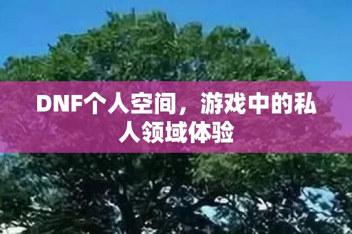 游戏中的私人领域体验图片