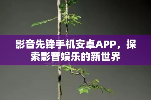 影音先锋手机安卓APP图片