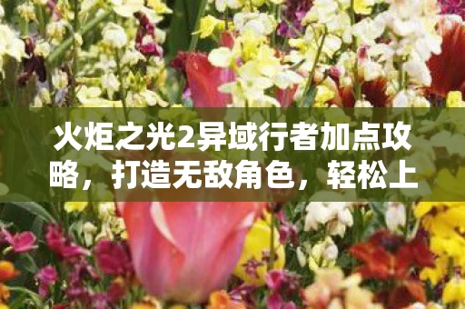 火炬之光2异域行者加点攻略图片