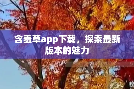探索最新版本的魅力图片