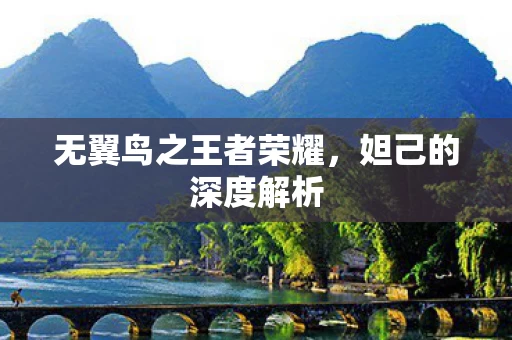 无翼鸟之王者荣耀图片