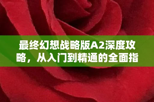最终幻想战略版A2深度攻略图片