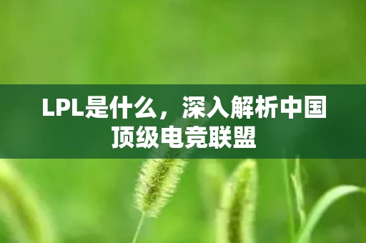深入解析中国顶级电竞联盟图片