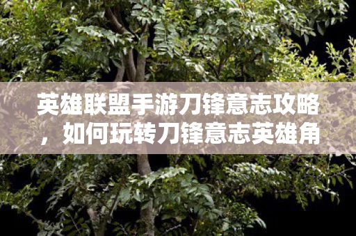 英雄联盟手游刀锋意志攻略图片
