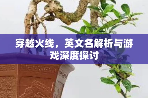 英文名解析与游戏深度探讨图片
