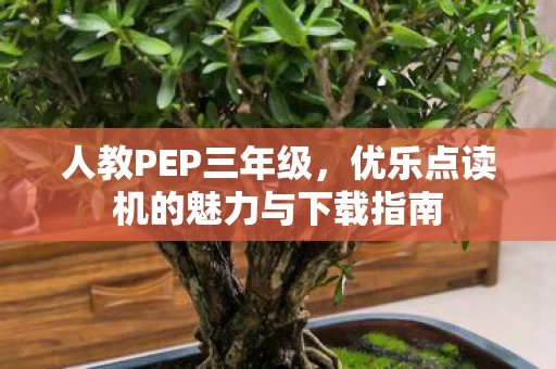优乐点读机的魅力与下载指南图片