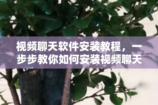 一步步教你如何安装视频聊天软件图片