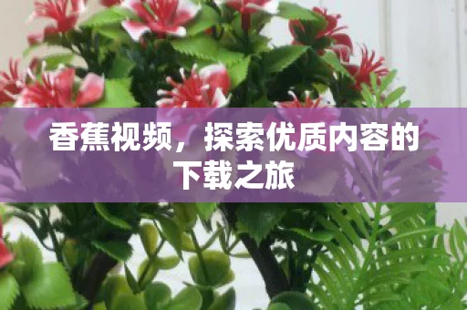 探索优质内容的下载之旅图片