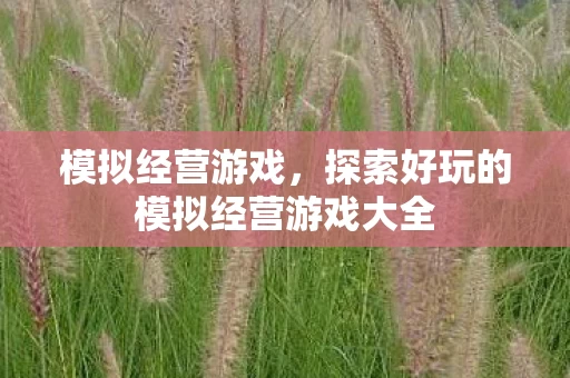 探索好玩的模拟经营游戏大全图片