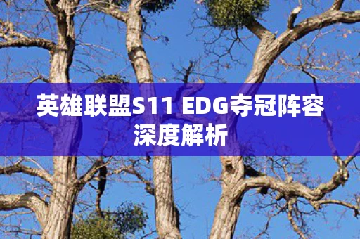 英雄联盟S11 EDG夺冠阵容深度解析图片