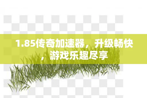 85传奇加速器图片