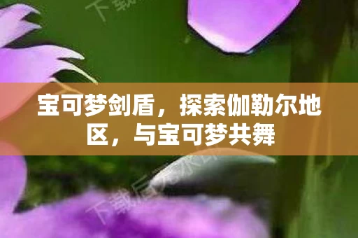 探索伽勒尔地区图片
