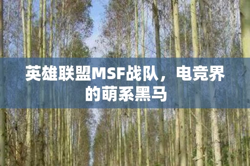 英雄联盟MSF战队图片
