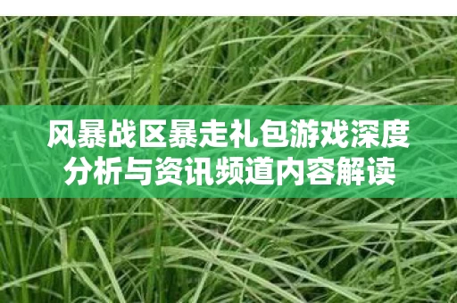 风暴战区暴走礼包游戏深度分析与资讯频道内容解读图片