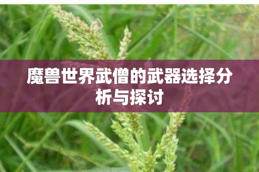魔兽世界武僧的武器选择分析与探讨图片