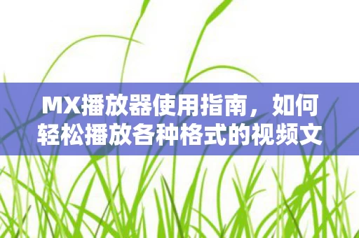 如何轻松播放各种格式的视频文件图片