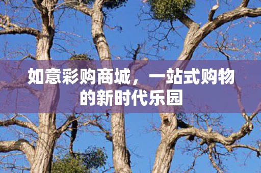 一站式购物的新时代乐园图片